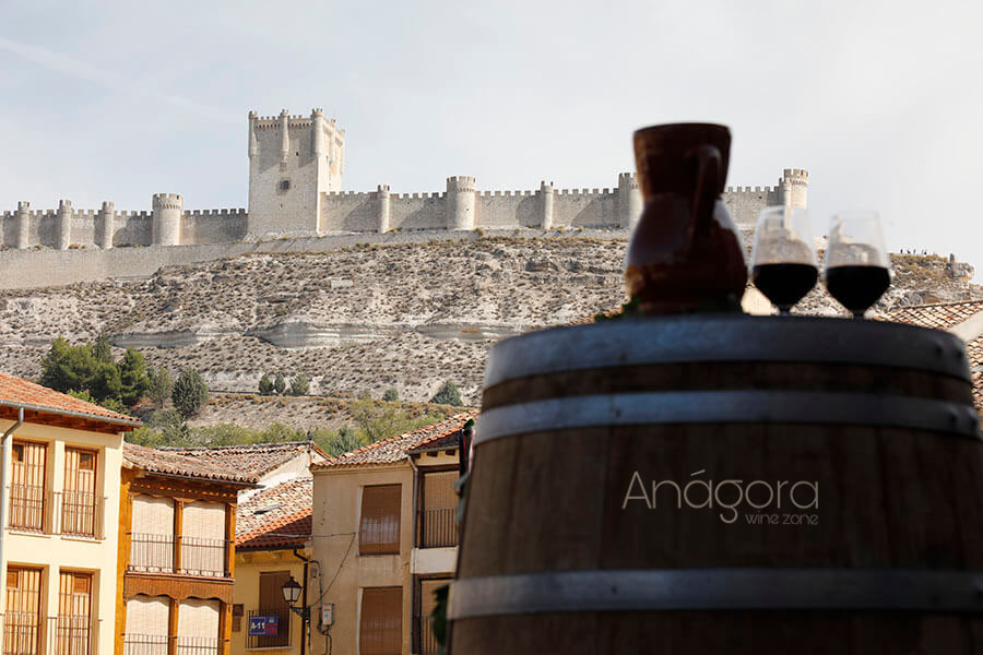 Dos copas de vino con el Castillo de Peñafiel al fondo