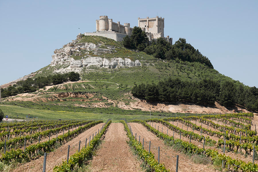 Castillo de Peñafiel